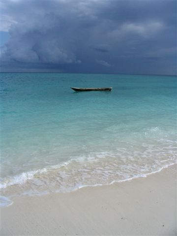Picture8