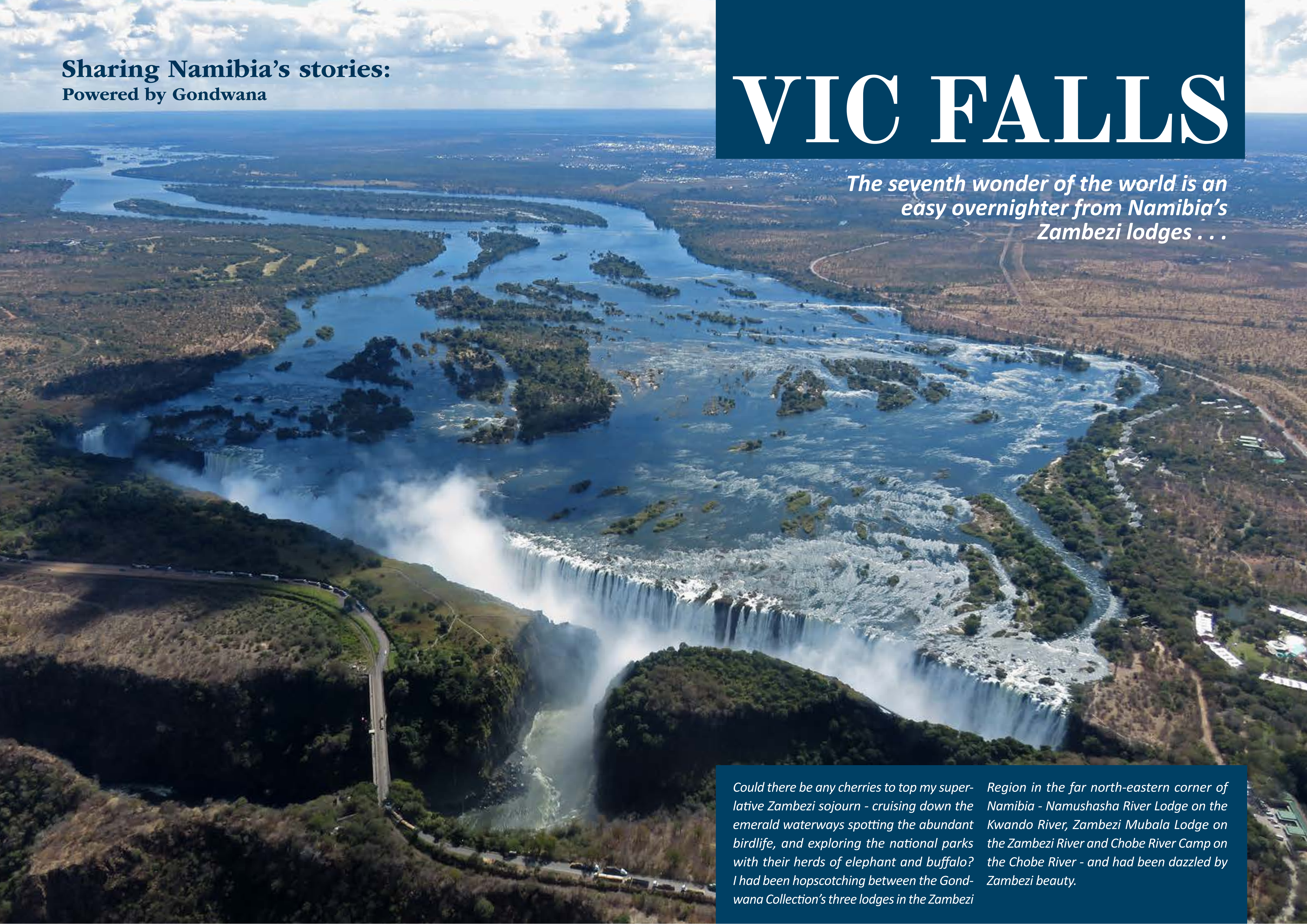 Vic Falls (Flamingo 2020)_00