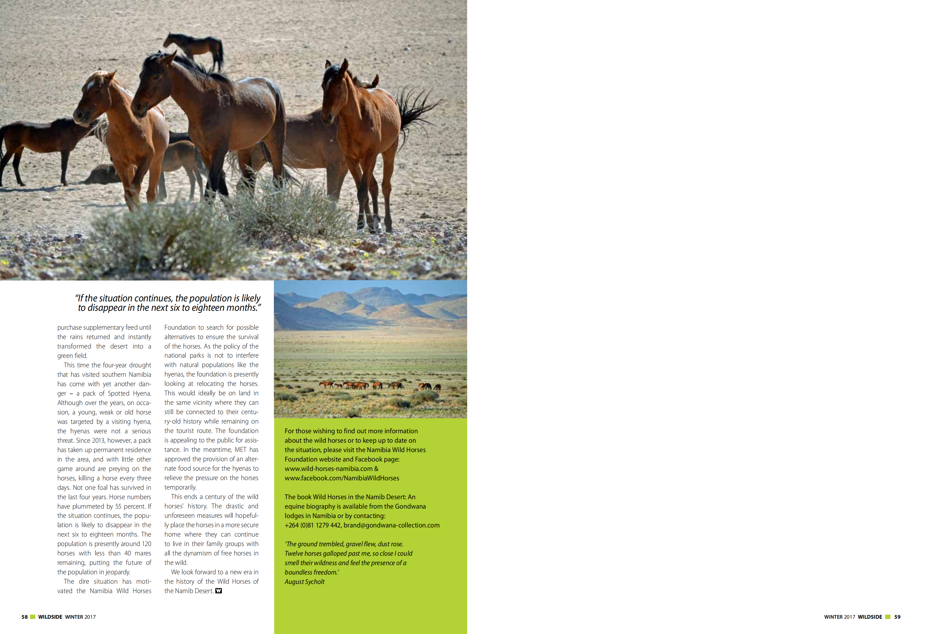 Wild horses of Namibia in peril (Wildside 2017)_01
