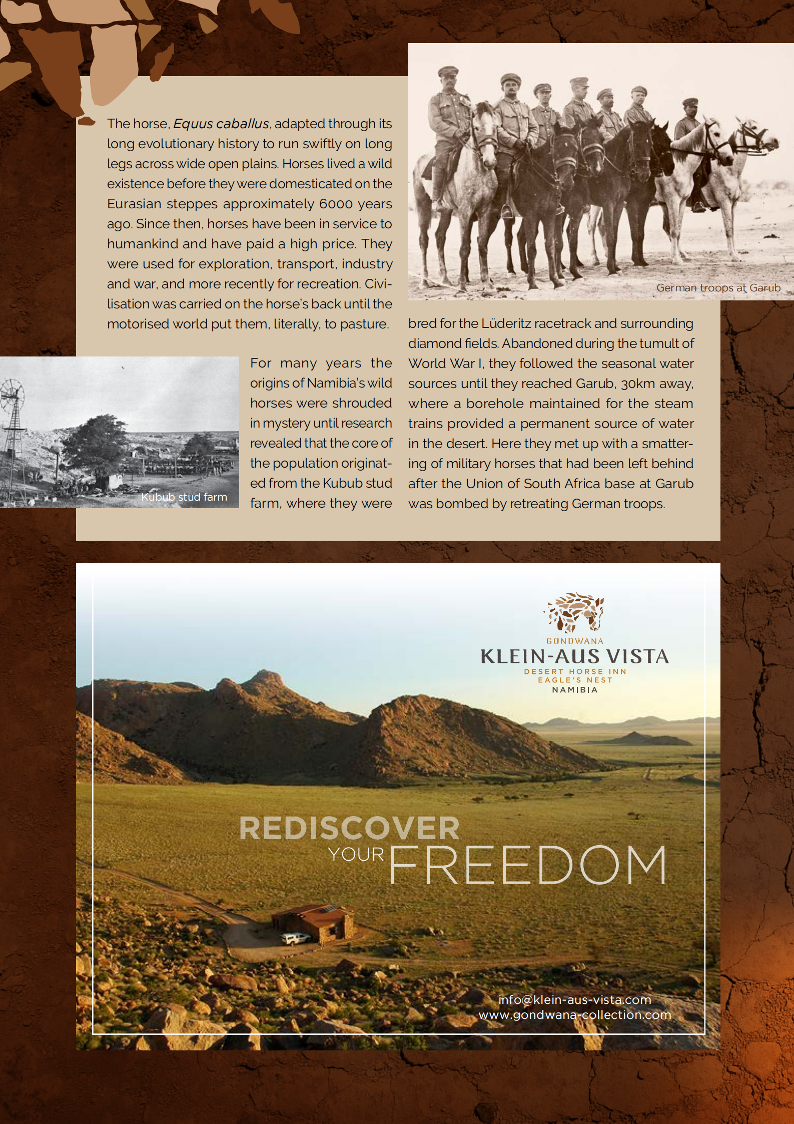 Wild horses of the Namib (Michelangelo 2020)_02