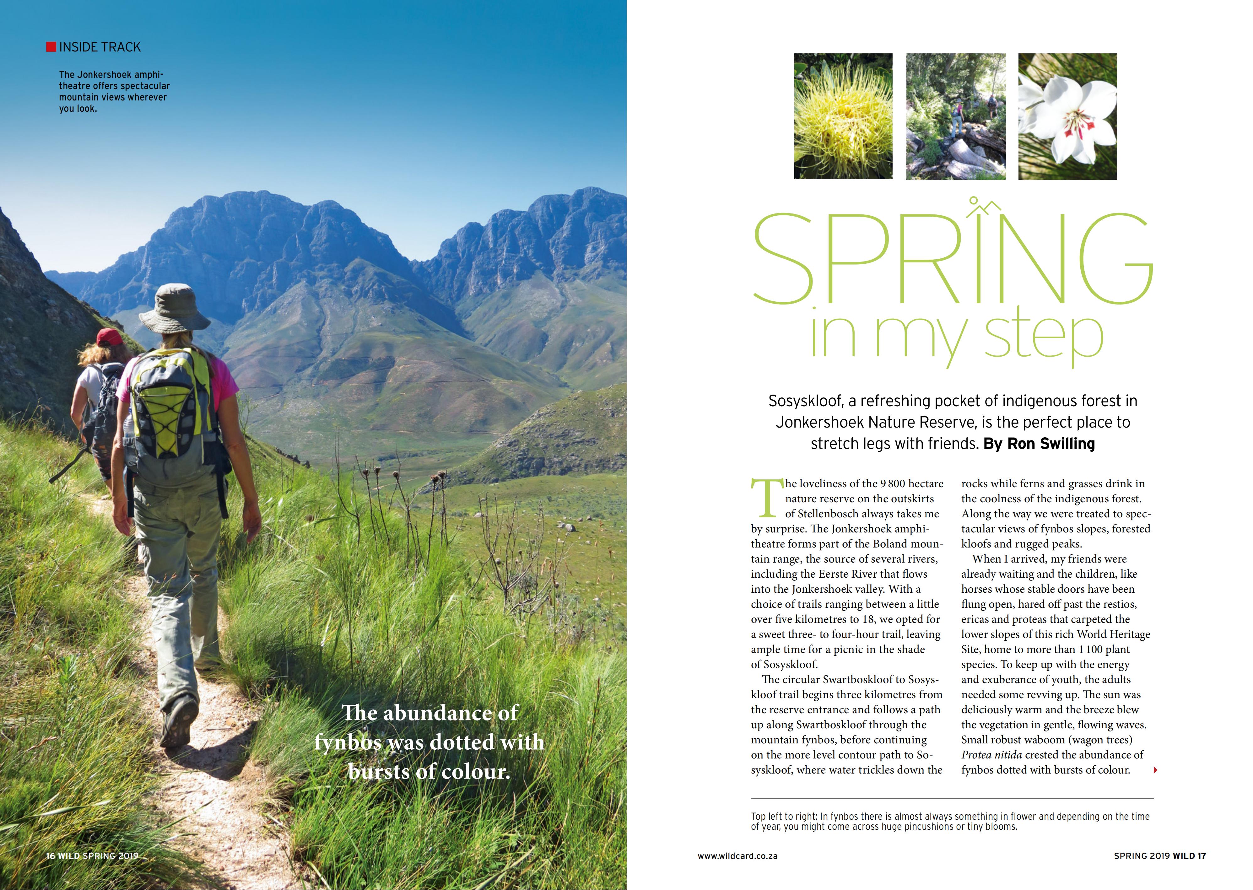 Jonkershoek (Wild 2019)_00
