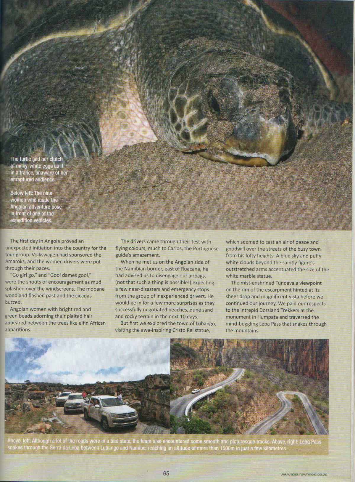 Turtle tracks-pg2
