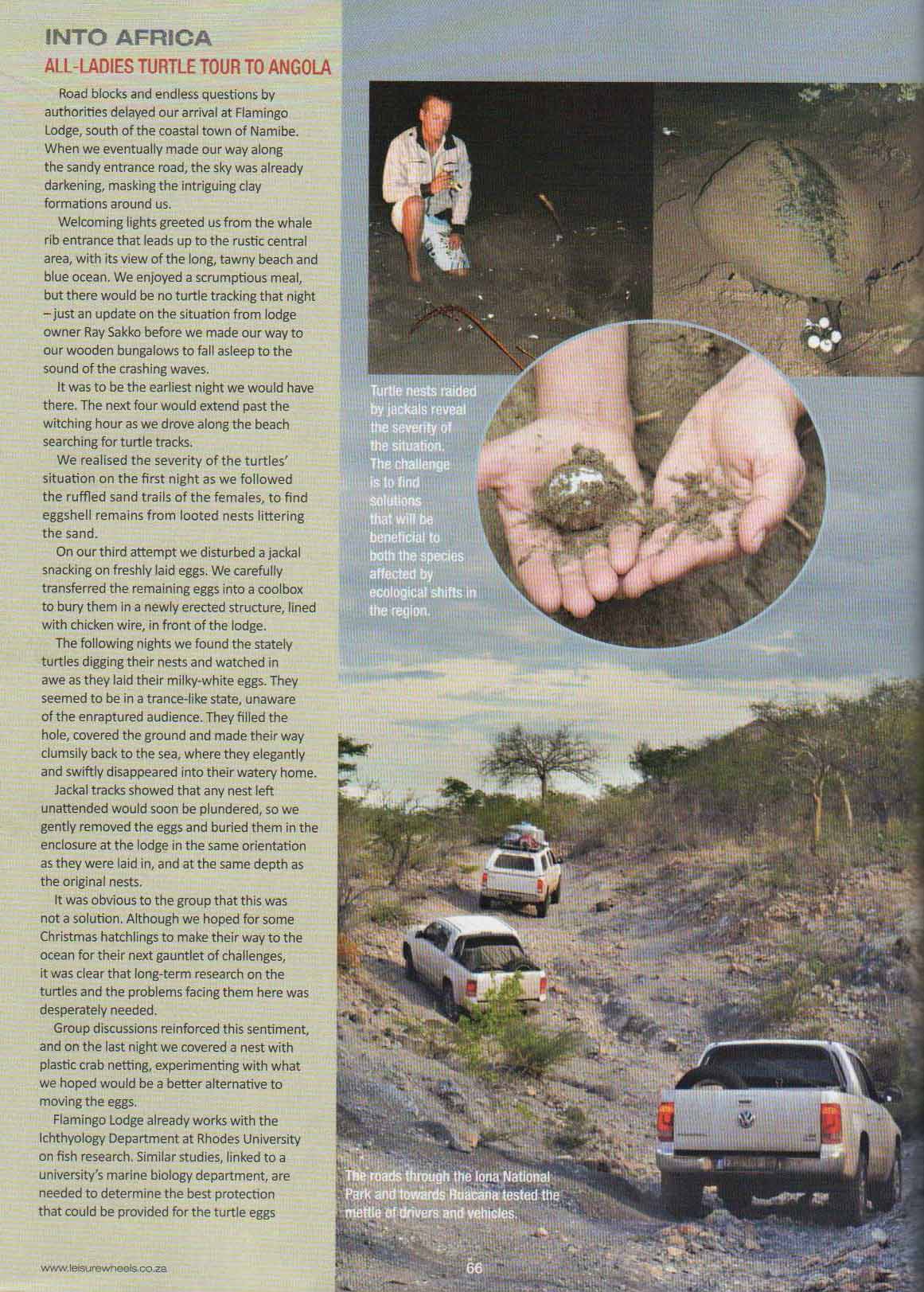 Turtle tracks-pg3