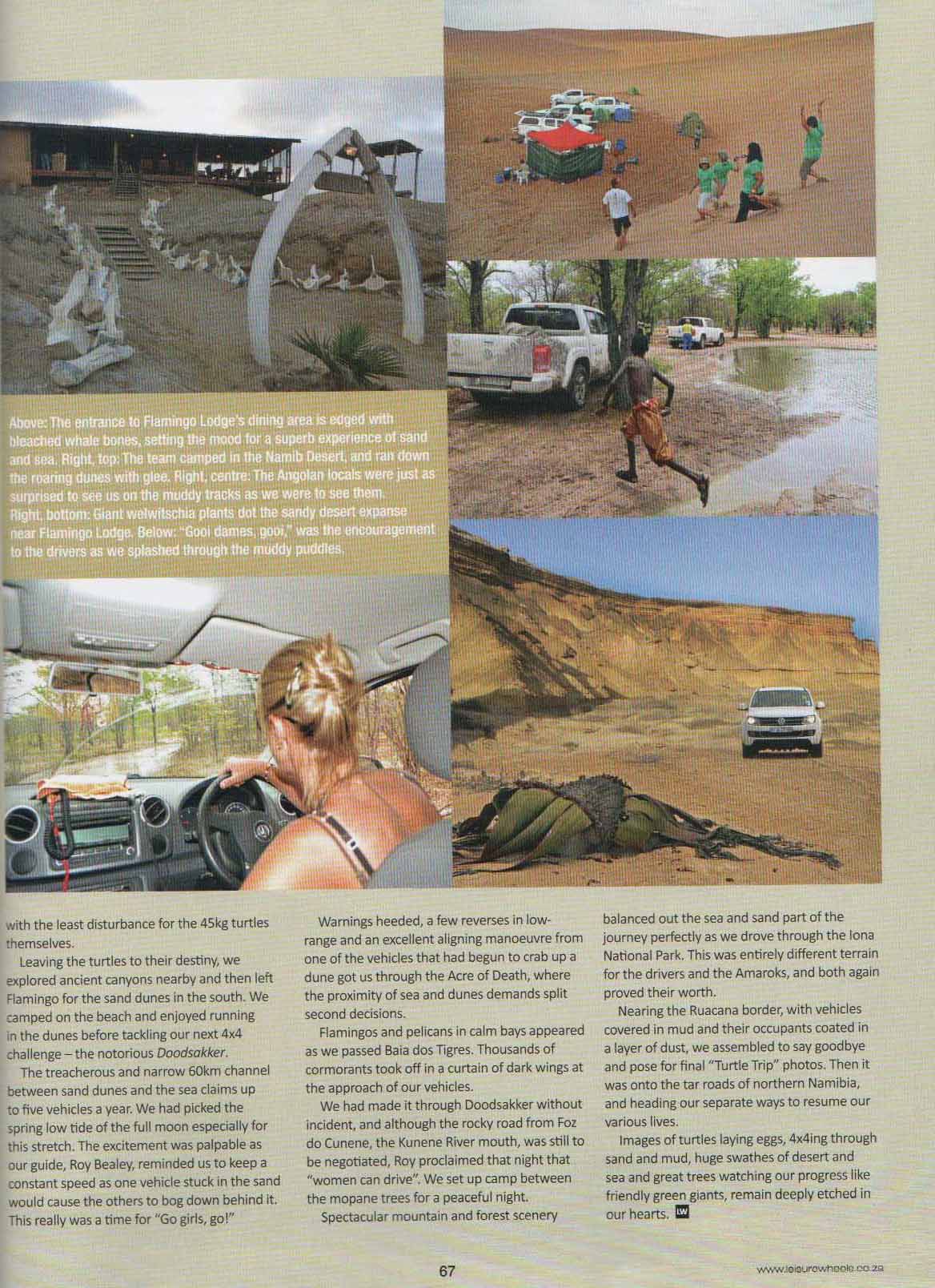 Turtle tracks-pg4