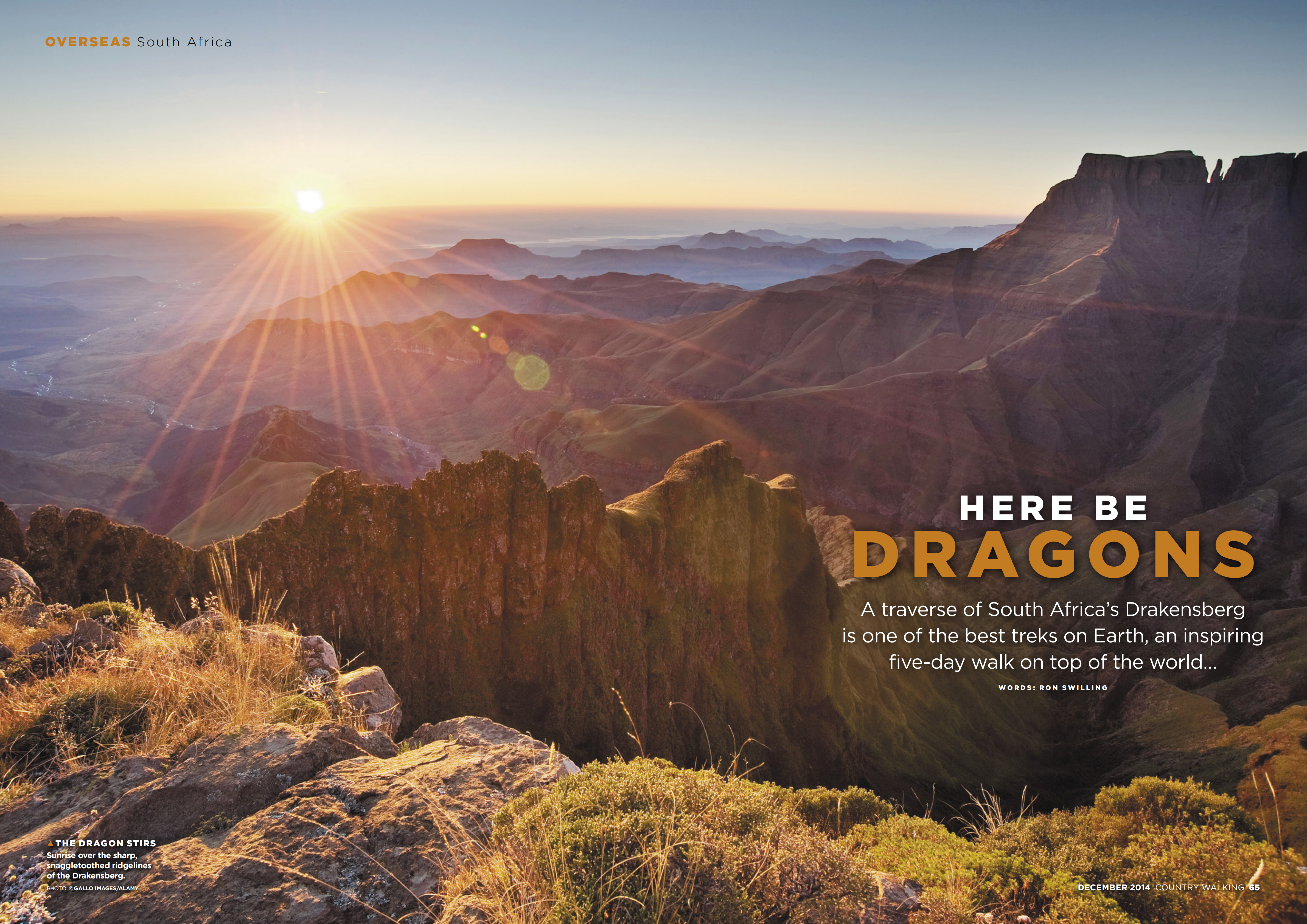 herebedragons 00
